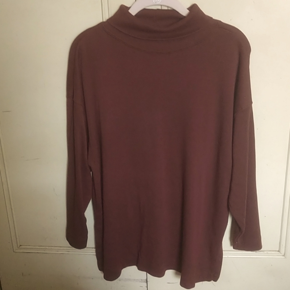 EUC  The Limited Turtleneck Tunic